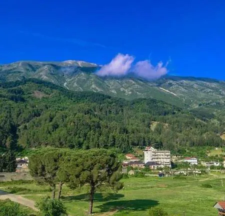 Apartmán Central Apart Permet *